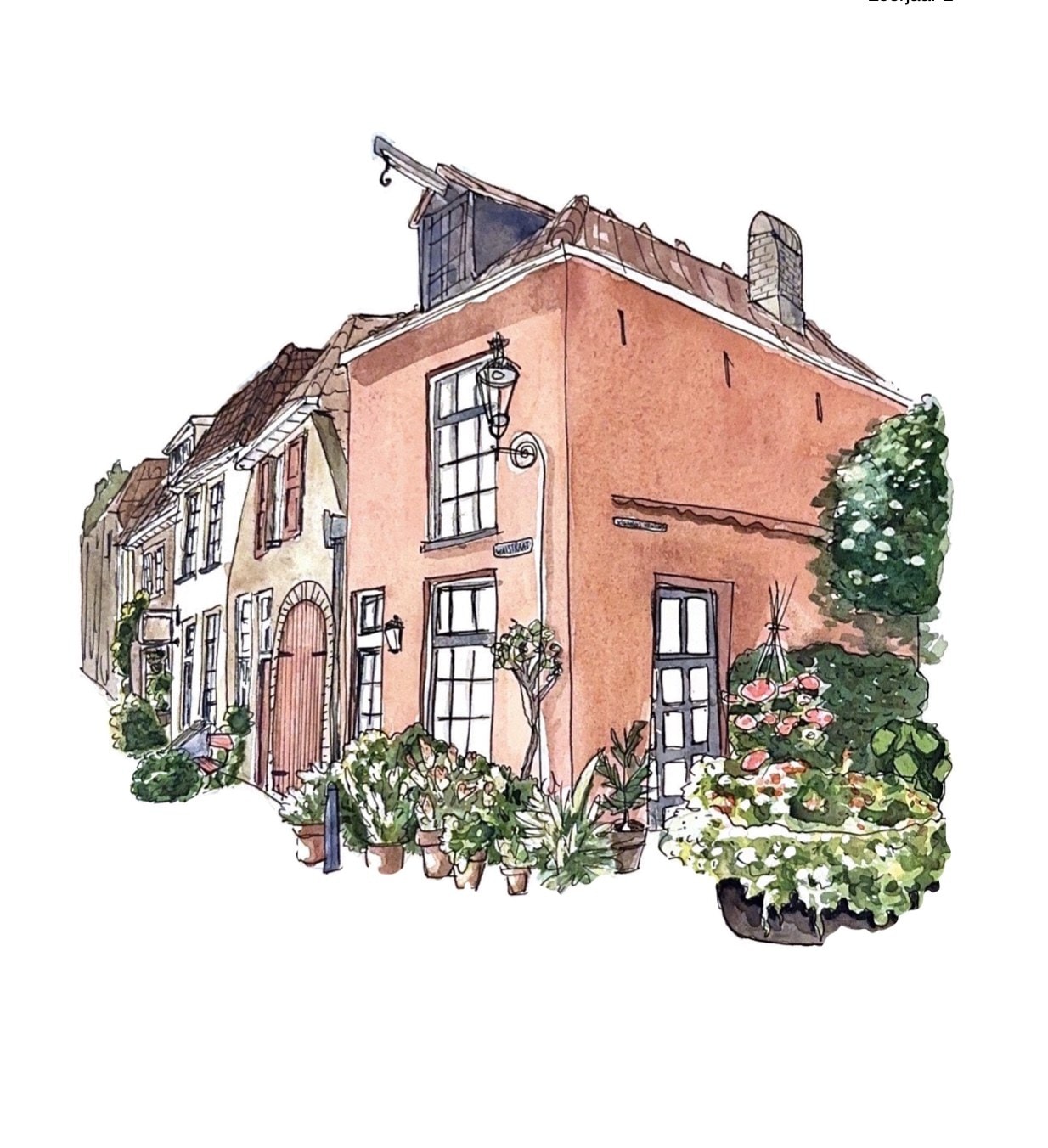 Ink and watercolour drawing of a pink corner house with tall windows, a lantern and potted plants along an old street.